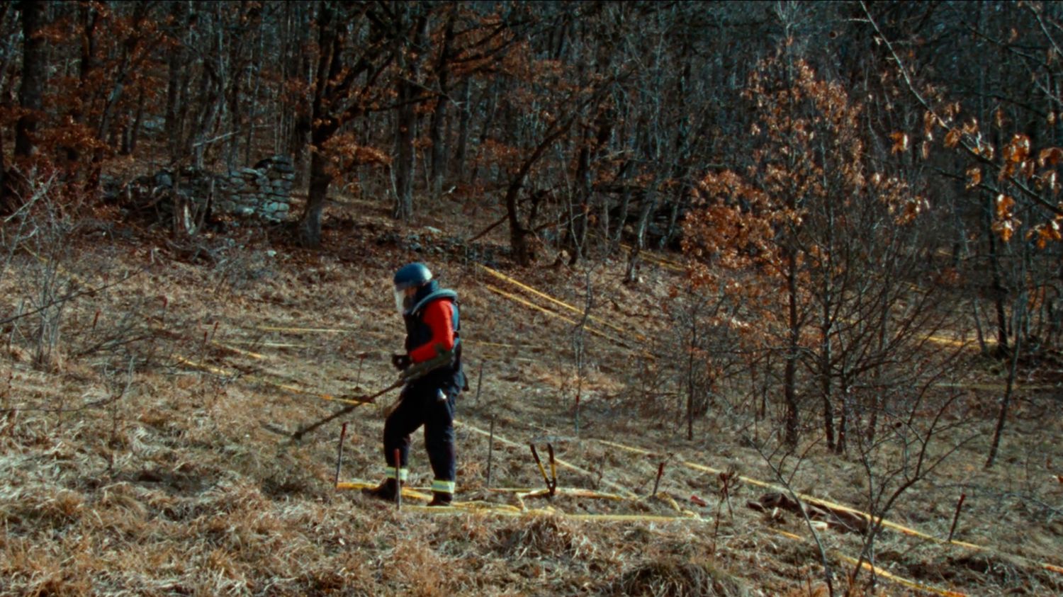 The Landscape and the Fury_06© Beauvoir Films 2024